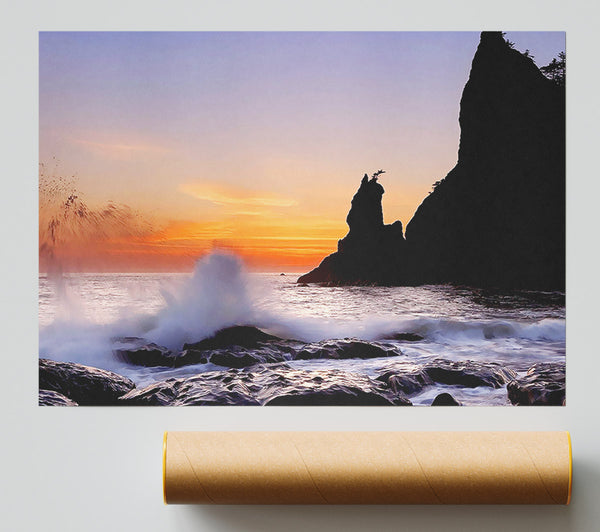 Ocean Spray Delight Poster