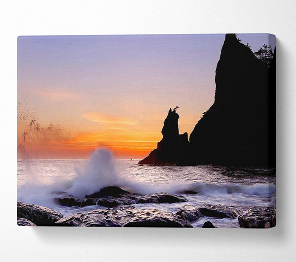  A Canvas Print of Ocean Spray Delight Canvas Art
