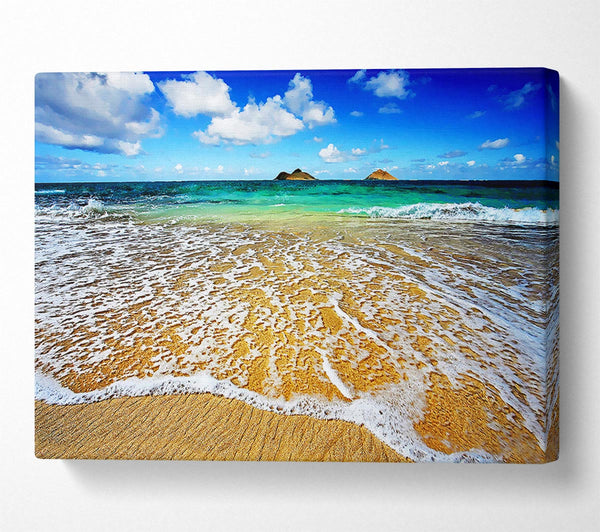 A Canvas Print of Ocean Paradise Canvas Wall Art