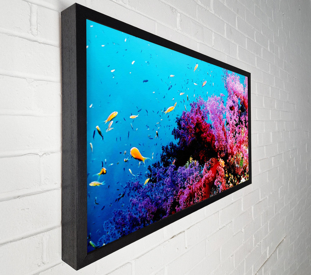  A Canvas Print of Magical Coral Ocean Canvas Wall Art