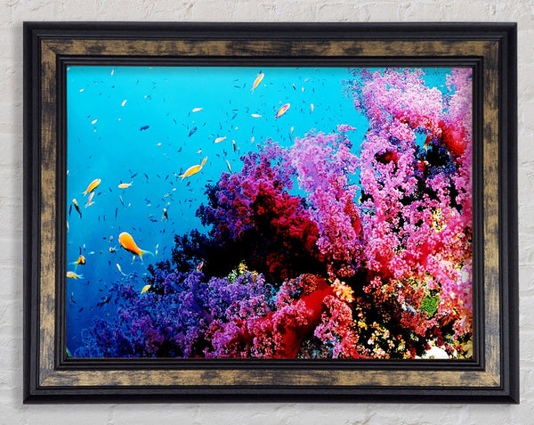 Magical Coral Ocean Framed Print