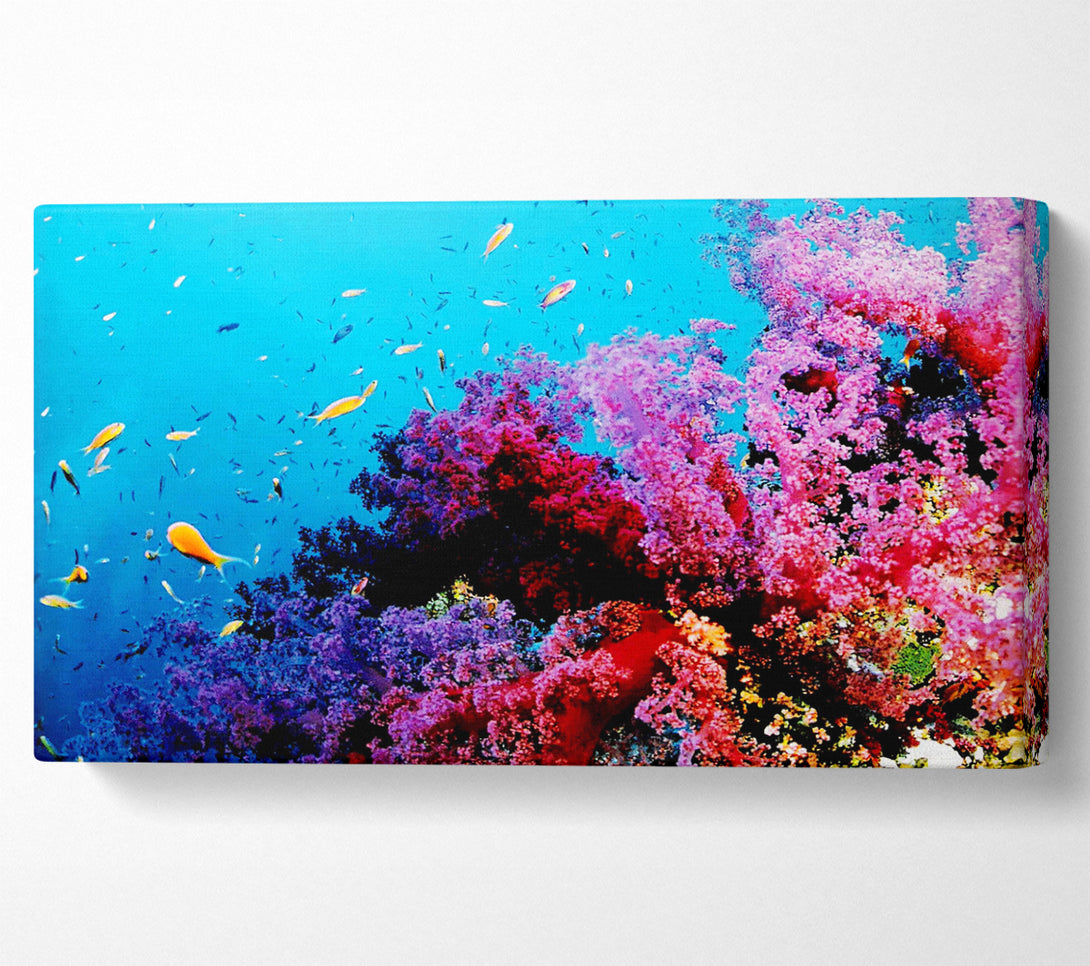  A Canvas Print of Magical Coral Ocean Canvas Wall Art