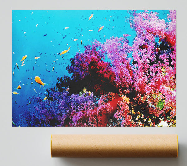 Magical Coral Ocean Poster
