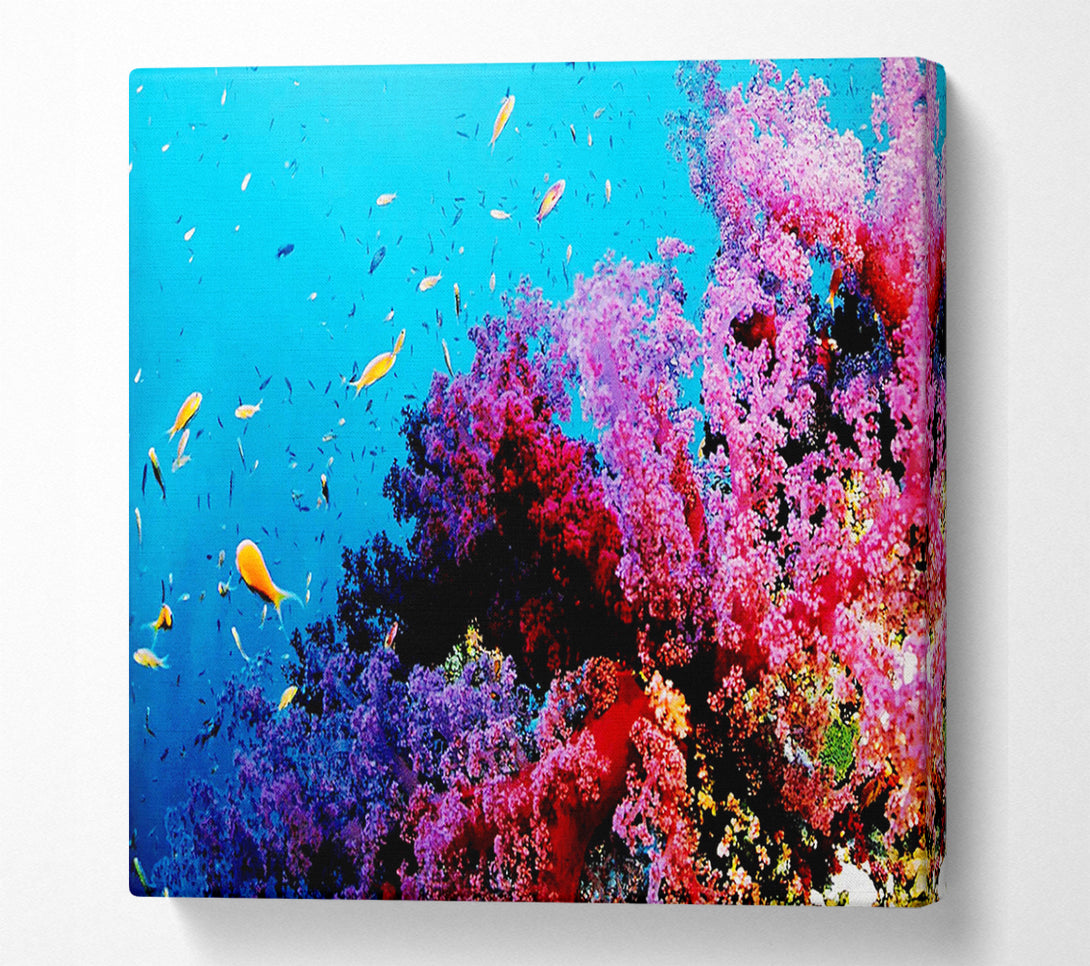  A Canvas Print of Magical Coral Ocean Canvas Wall Art