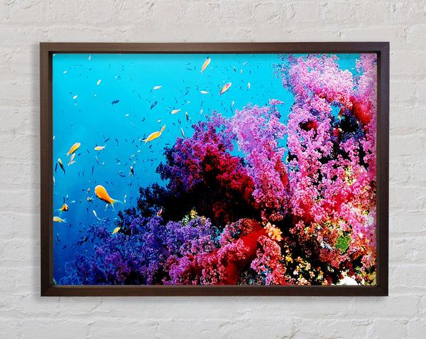 Magical Coral Ocean Framed Print
