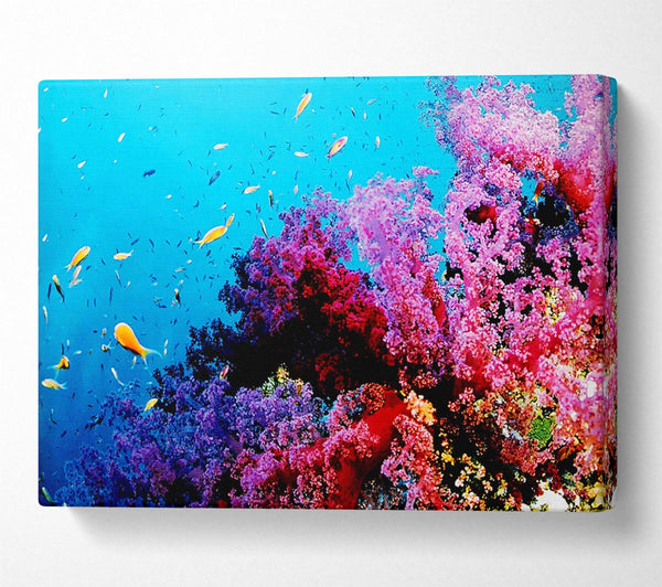  A Canvas Print of Magical Coral Ocean Canvas Wall Art