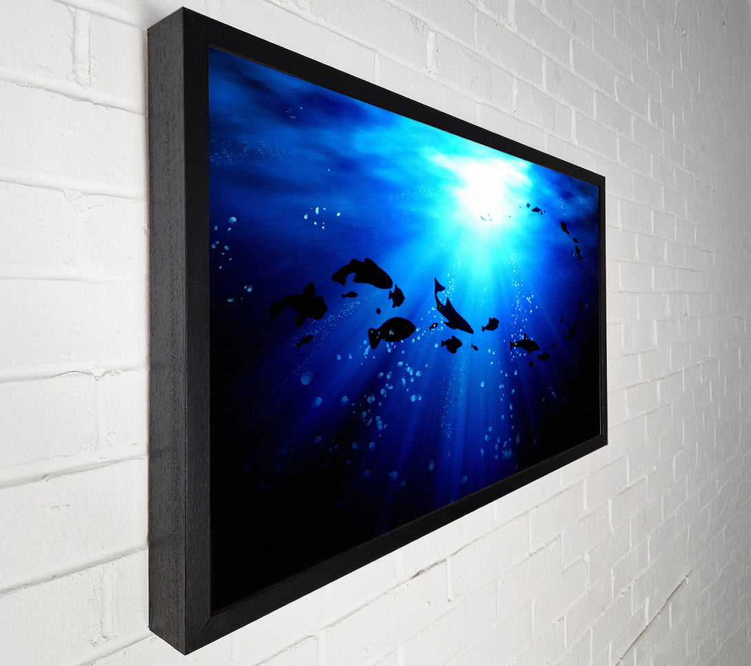  A Canvas Print of Life Under The Ocean Canvas Print
