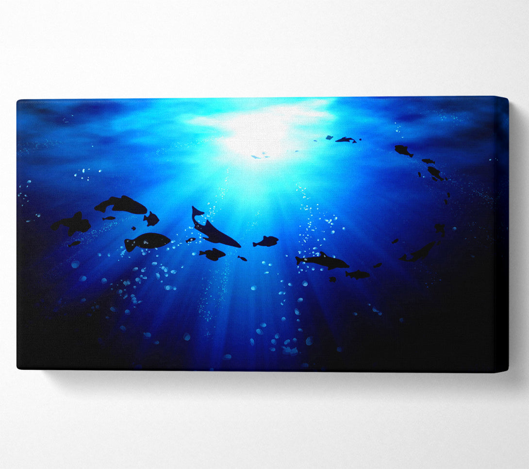  A Canvas Print of Life Under The Ocean Canvas Print