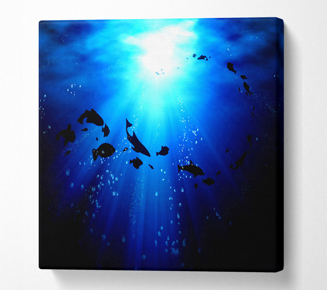  A Canvas Print of Life Under The Ocean Canvas Print