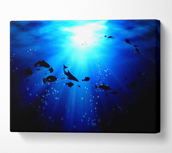  A Canvas Print of Life Under The Ocean Canvas Print