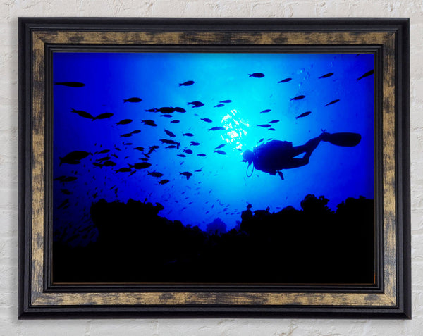 Divers City Framed Print