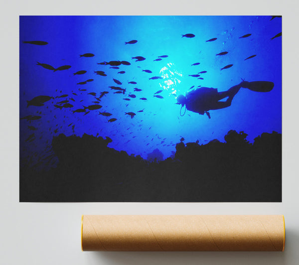 Divers City Print