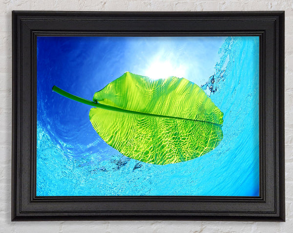 Blue Waters Of A Green Leaf Framed Print