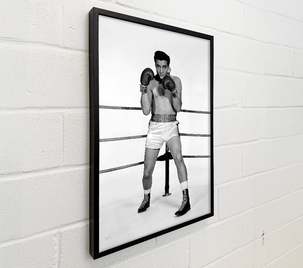Elvis Presley Boxing Kid