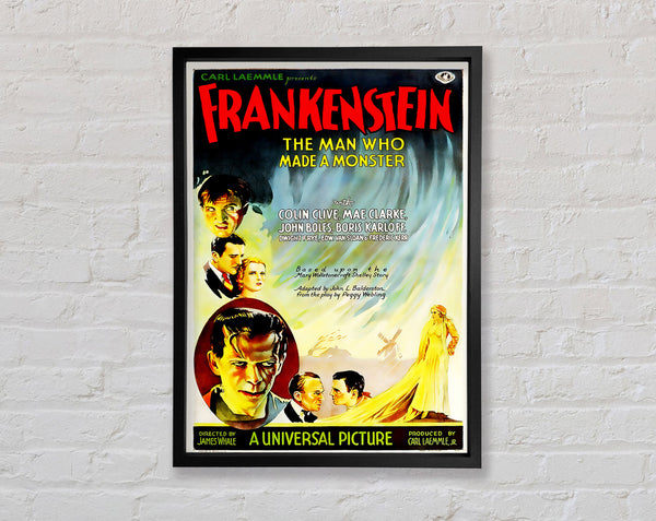 Frankenstein The Man Who Made A Monster