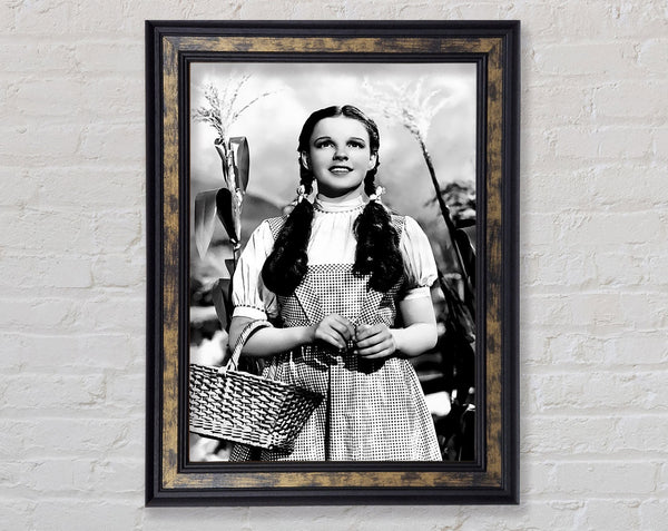 Wizard Of Oz Dorothy Framed Print