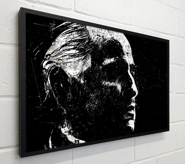 Don Vito Corleone