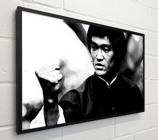 Bruce Lee Power Of One