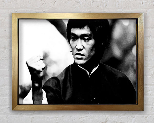 Bruce Lee Power Of One