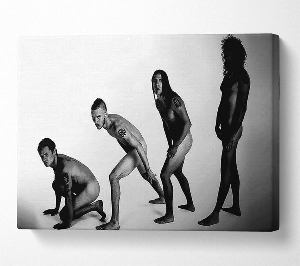 Red Hot Chili Peppers Evolution Canvas Print