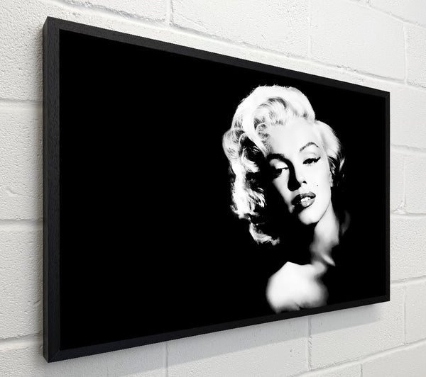 Marilyn Monroe The Look