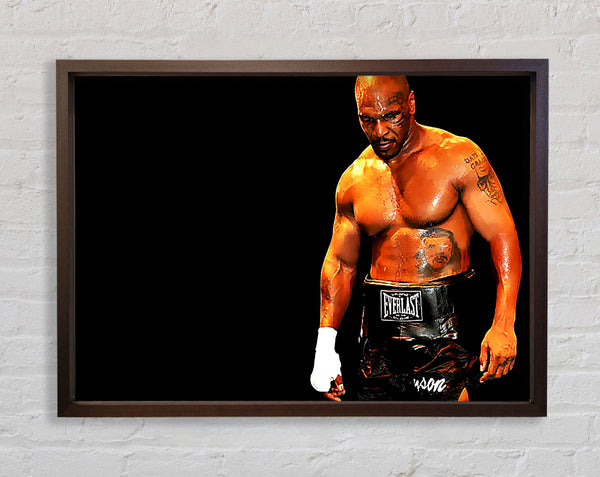Mike Tyson-Champion