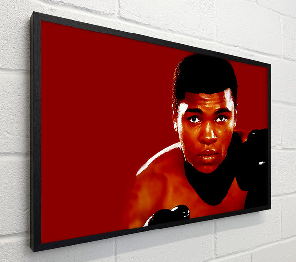 Muhammad Ali Red