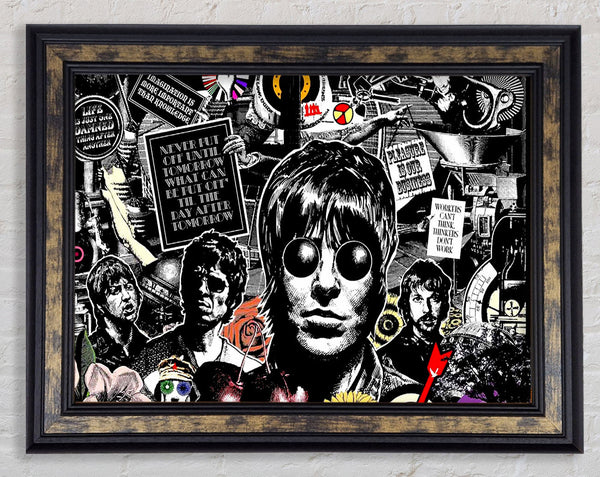 Oasis Collage Framed Print