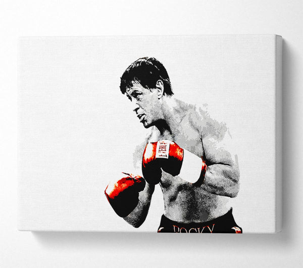 Rocky B n W Red Gloves Canvas Art