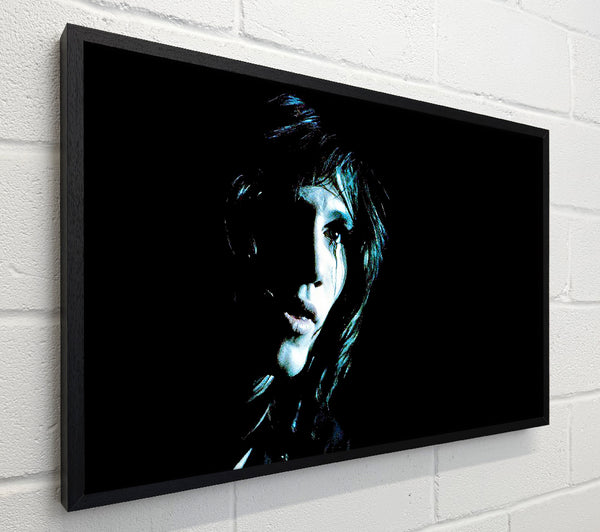 Roger Waters Pink Floyd