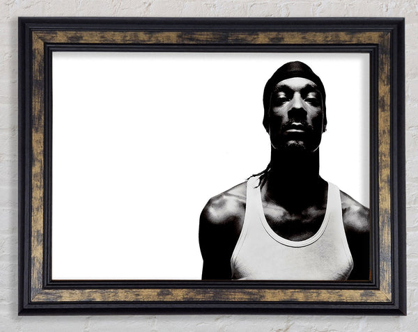 Snoop Dogg Music Framed Print