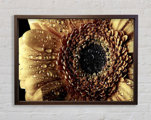 Gerbera Vintage Framed Print
