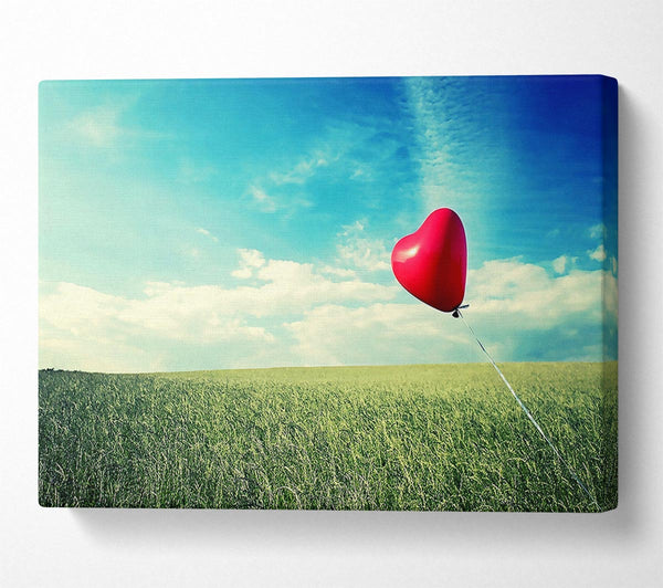  A Canvas Print of Alone Heart Flying Canvas Print