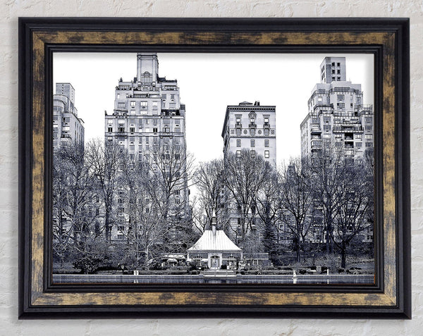 Central Park 2 Framed Print