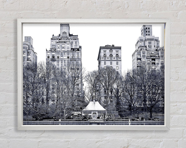 Central Park 2 Framed Print
