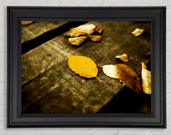 Herbstlaub auf dem Deck