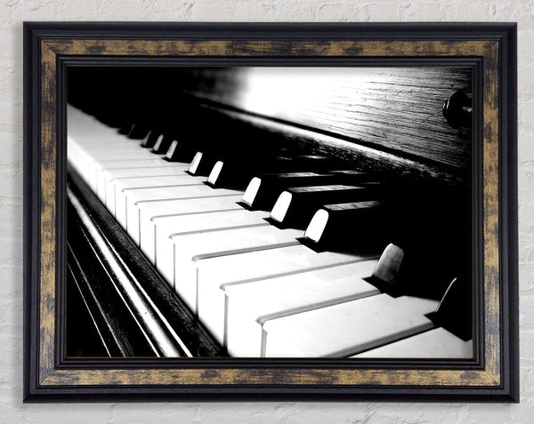 Ebony And Ivory Framed Print