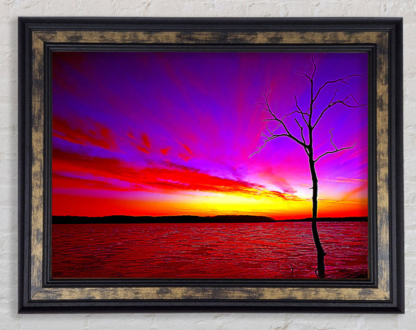 Sunset Tree Rainbow Skies Framed Print