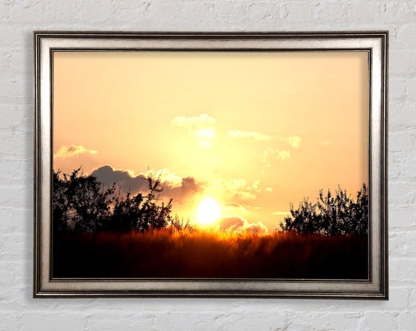 Goldenes Weizenfeld bei Sonnenuntergang