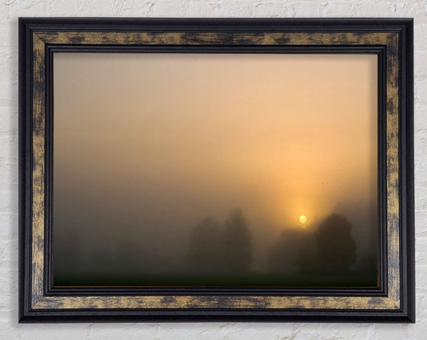 Foggy Day Framed Print