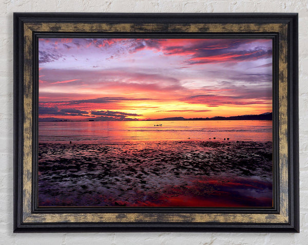 Sea Sunset Paradise Framed Print