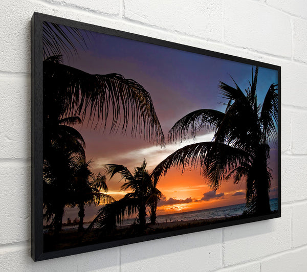 Palm Trees On The Beach Sunset