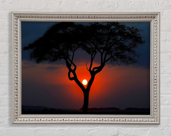 Schöner roter Sonnenuntergang zwischen den Bäumen