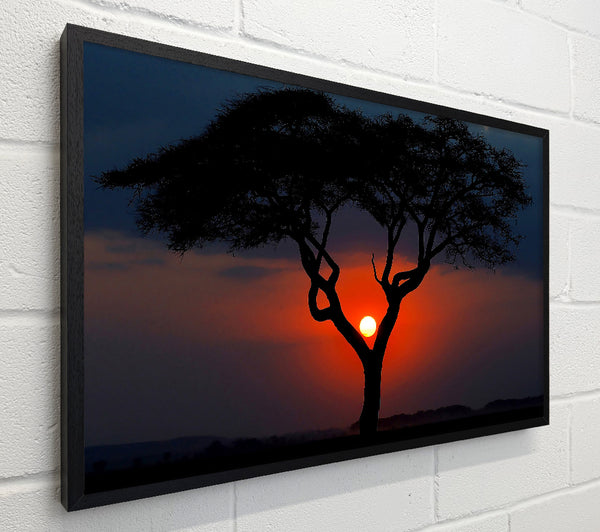 Beautiful Red Sunset Between The Tree