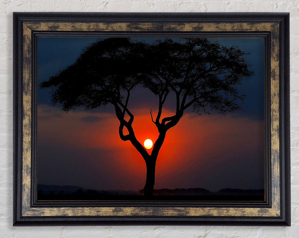 Beautiful Red Sunset Between The Tree Framed Print
