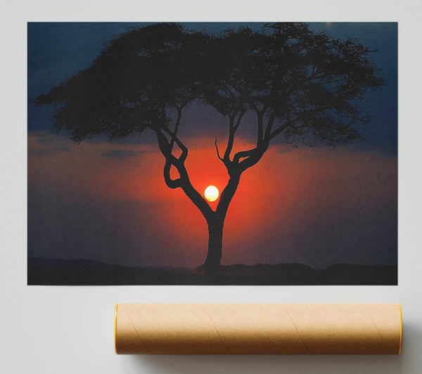 Beautiful Red Sunset Between The Tree Giclee Print