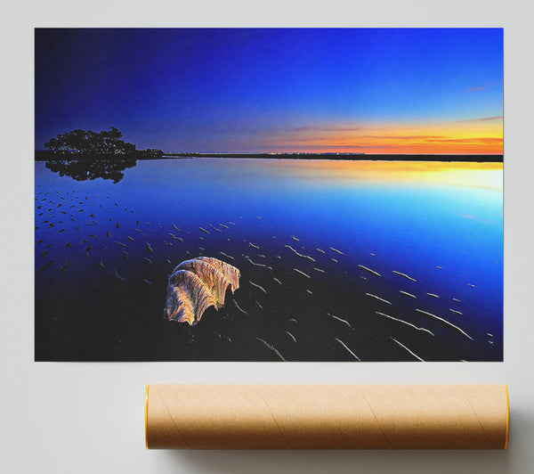 Shell On The Deep Blue Ocean Giclee Print