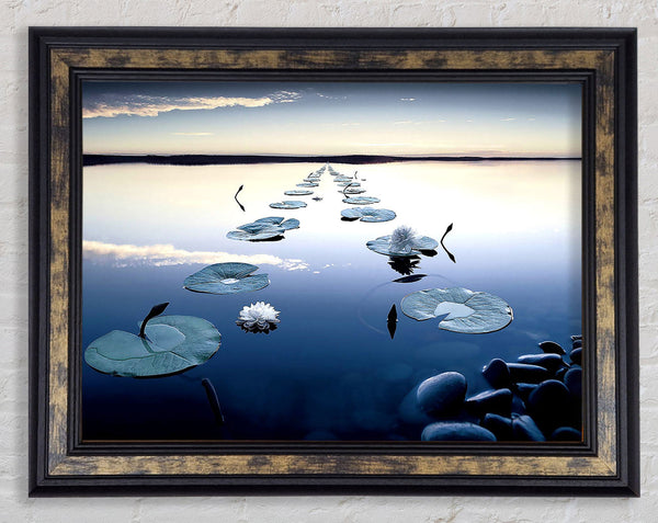 Lilies Framed Print