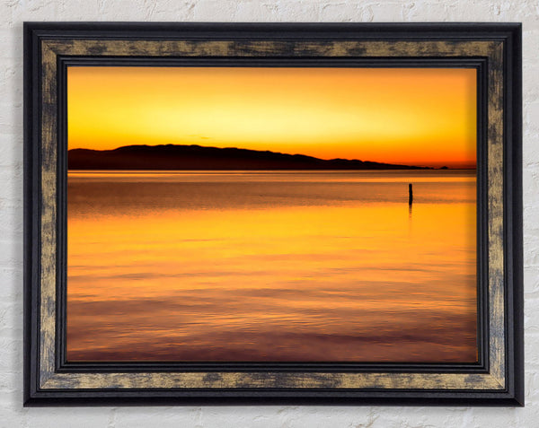 Dont Feel Lonely Framed Print