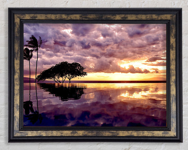 Stunning Tree In The Cloudy Sky Ocean Framed Print